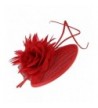 Gemvie Vintage Fascinator Feather Headband